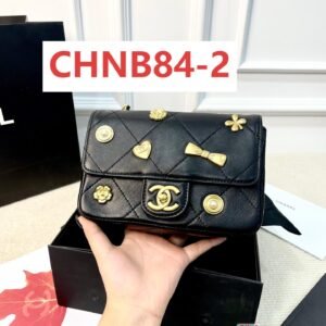 תיק של שנאל