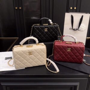 תיק של שנאל מעור