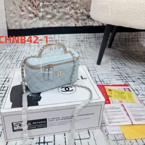 תיק של שנאל